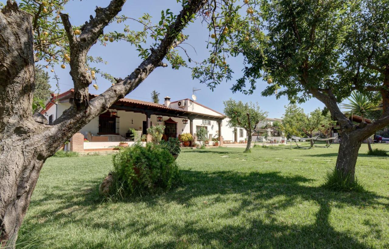 Villa Carmen Ronda Kültér fotó